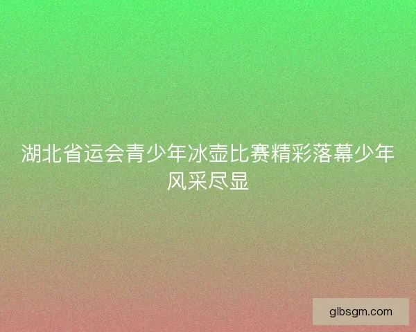 湖北省运会青少年冰壶比赛精彩落幕少年风采尽显 湖北省运会青少年冰壶比赛精彩落幕少年风采尽显